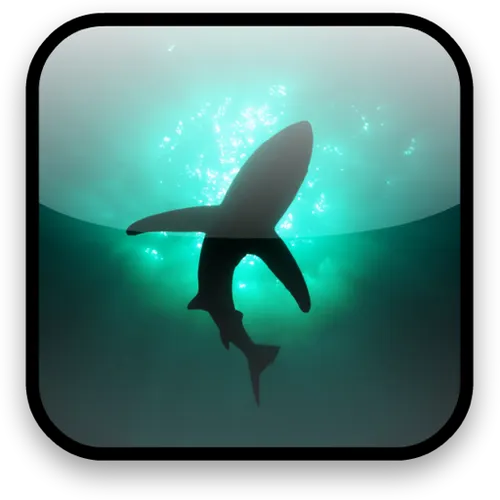 Shark Video Wallpaper Free — иконка