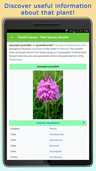 Скриншот 2/10