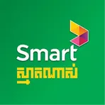 SmartNas логотип