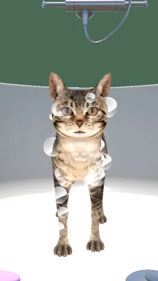 Скриншот 6/8