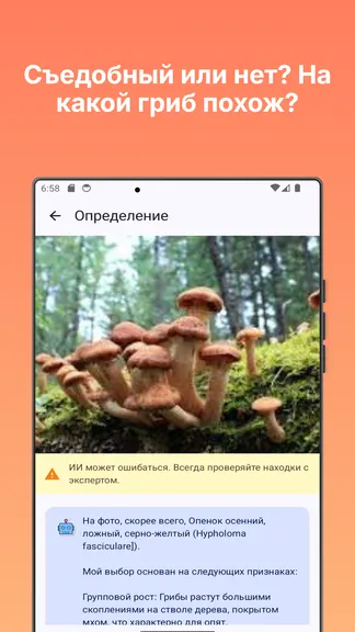 Скриншот 3/6