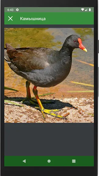 Скриншот 4/4