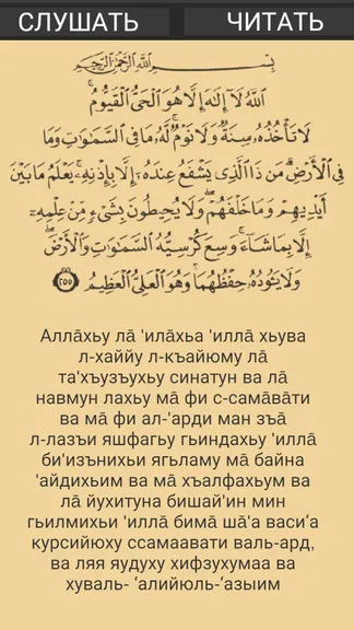 Скриншот 2/2