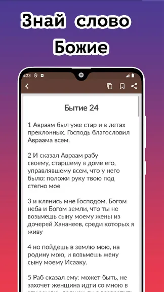 Скриншот 3/4