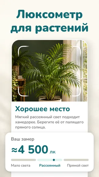Скриншот 4/8