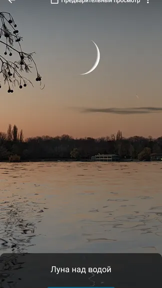 Скриншот 6/10