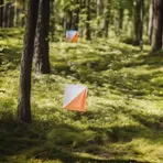 Orienteering Sport Russia логотип