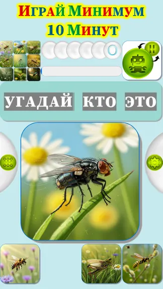 Скриншот 3/4