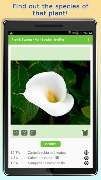 Скриншот 6/10