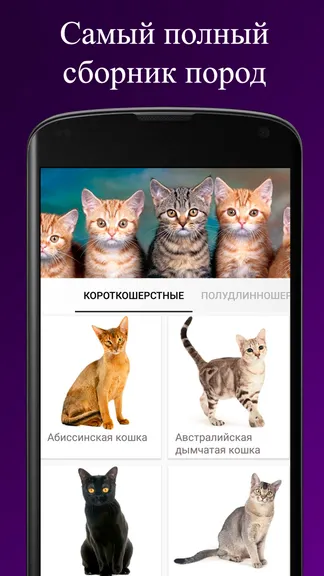 Скриншот 1/3