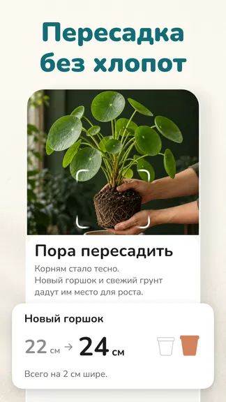 Скриншот 5/8