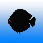 Aquarium Calculator логотип