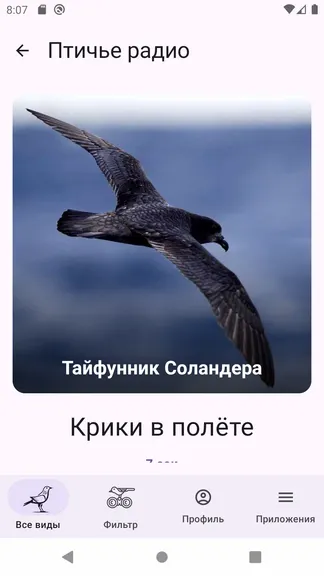 Скриншот 8/8