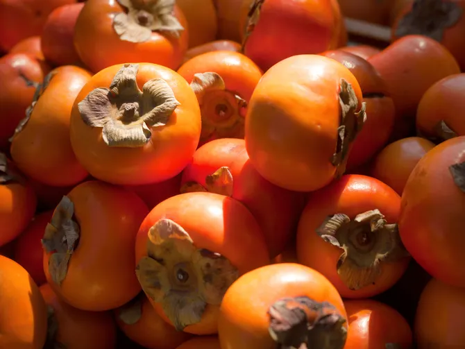 Обложка события Самокат・доставка продуктов・еды