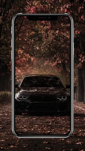 Скриншот 5/8