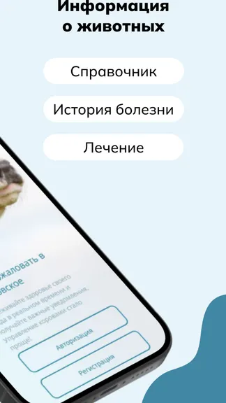 Скриншот 2/6