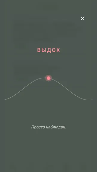 Скриншот 5/5