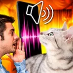 Cat Translator – Переводчик на кошачий язык логотип