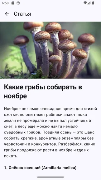 Скриншот 5/6