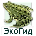 ЭкоГид: Амфибии логотип