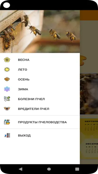 Скриншот 4/6