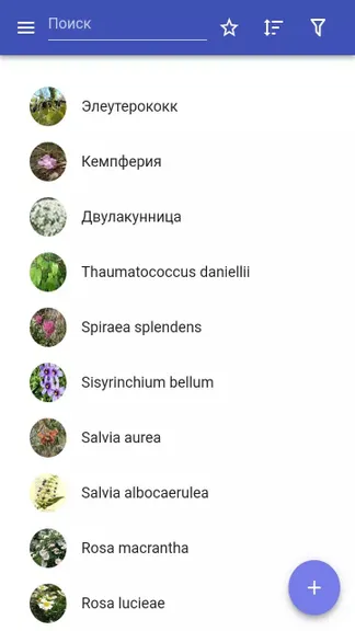 Скриншот 1/5