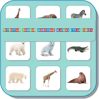 App icon