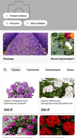 Скриншот 2/4