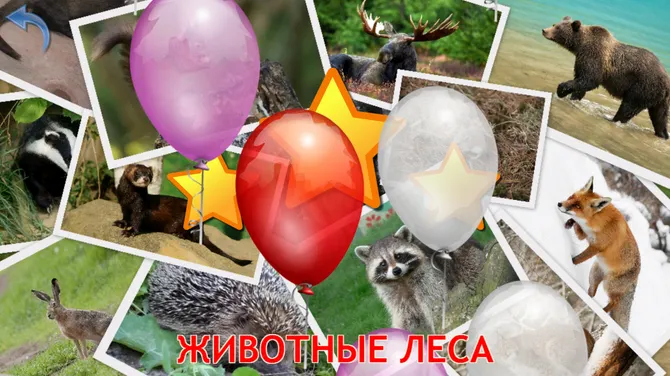 Скриншот 8/8