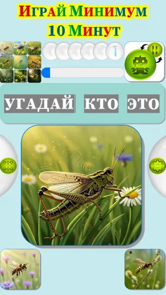 Скриншот 4/4