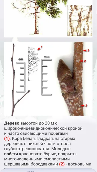 Скриншот 4/8