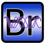 Биоритмы New логотип