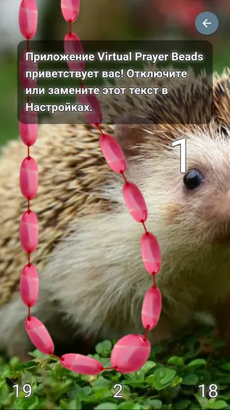 Скриншот 2/8