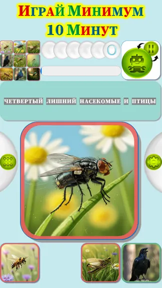 Скриншот 3/4