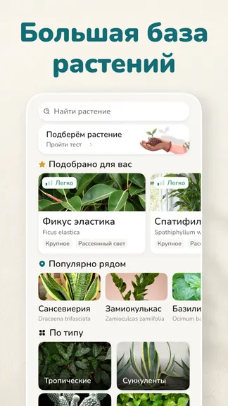 Скриншот 8/8