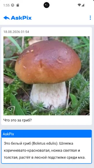 Скриншот 4/4