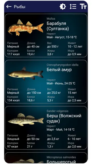 Скриншот 5/6