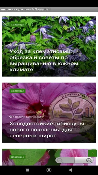 Скриншот 2/4