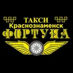 Фортуна  Краснознаменск логотип