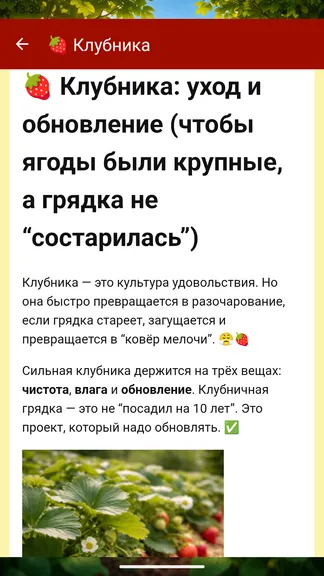 Скриншот 6/6