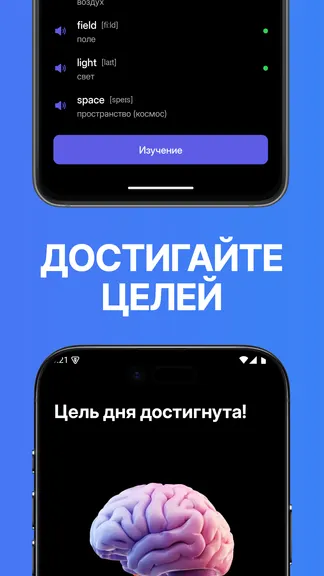 Скриншот 7/7