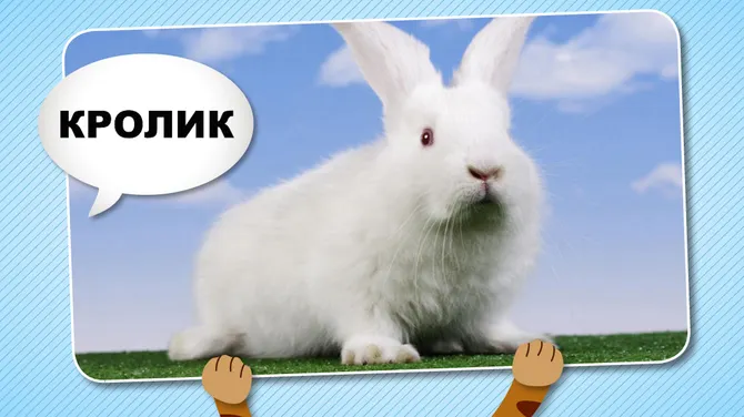 Скриншот 3/5