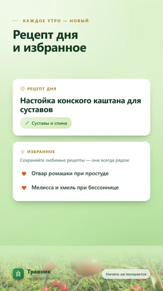 Скриншот 7/10