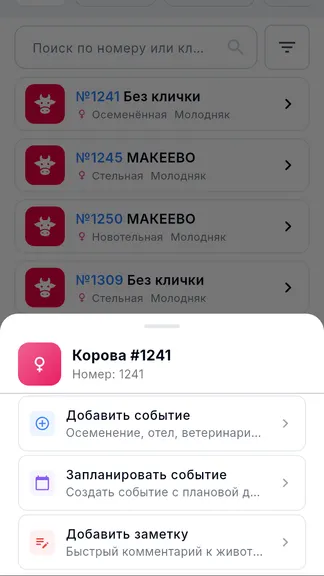 Скриншот 5/6