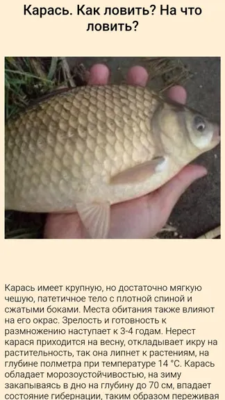 Скриншот 4/5