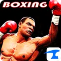 Boxing Night 3D логотип