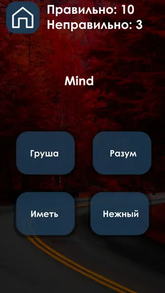Скриншот 4/5
