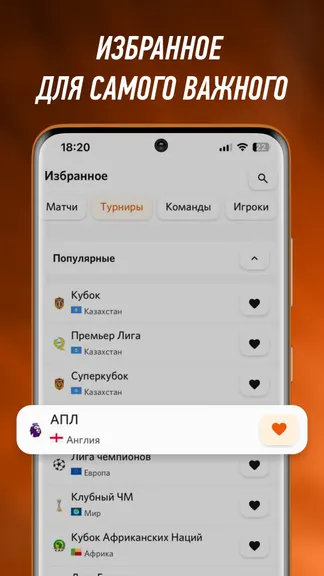 Скриншот 5/5