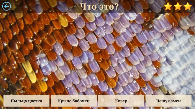 Скриншот 6/7