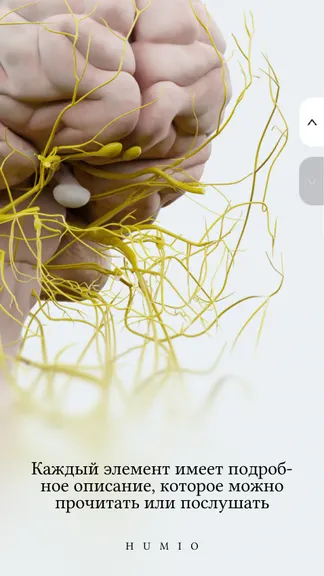 Скриншот 2/6